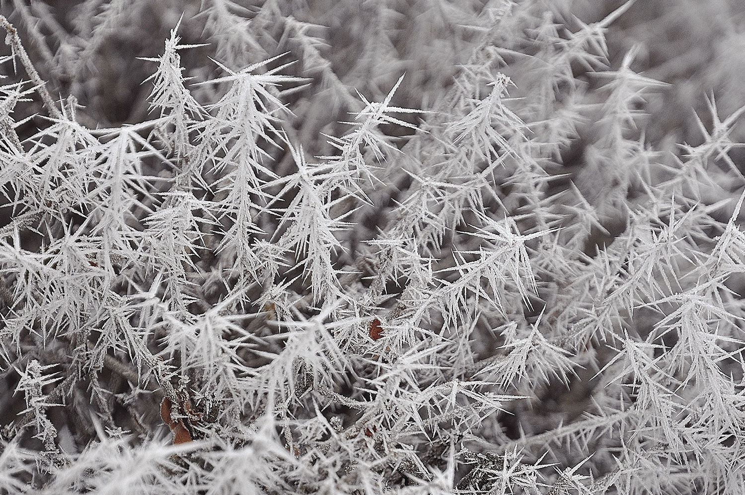 Rime time